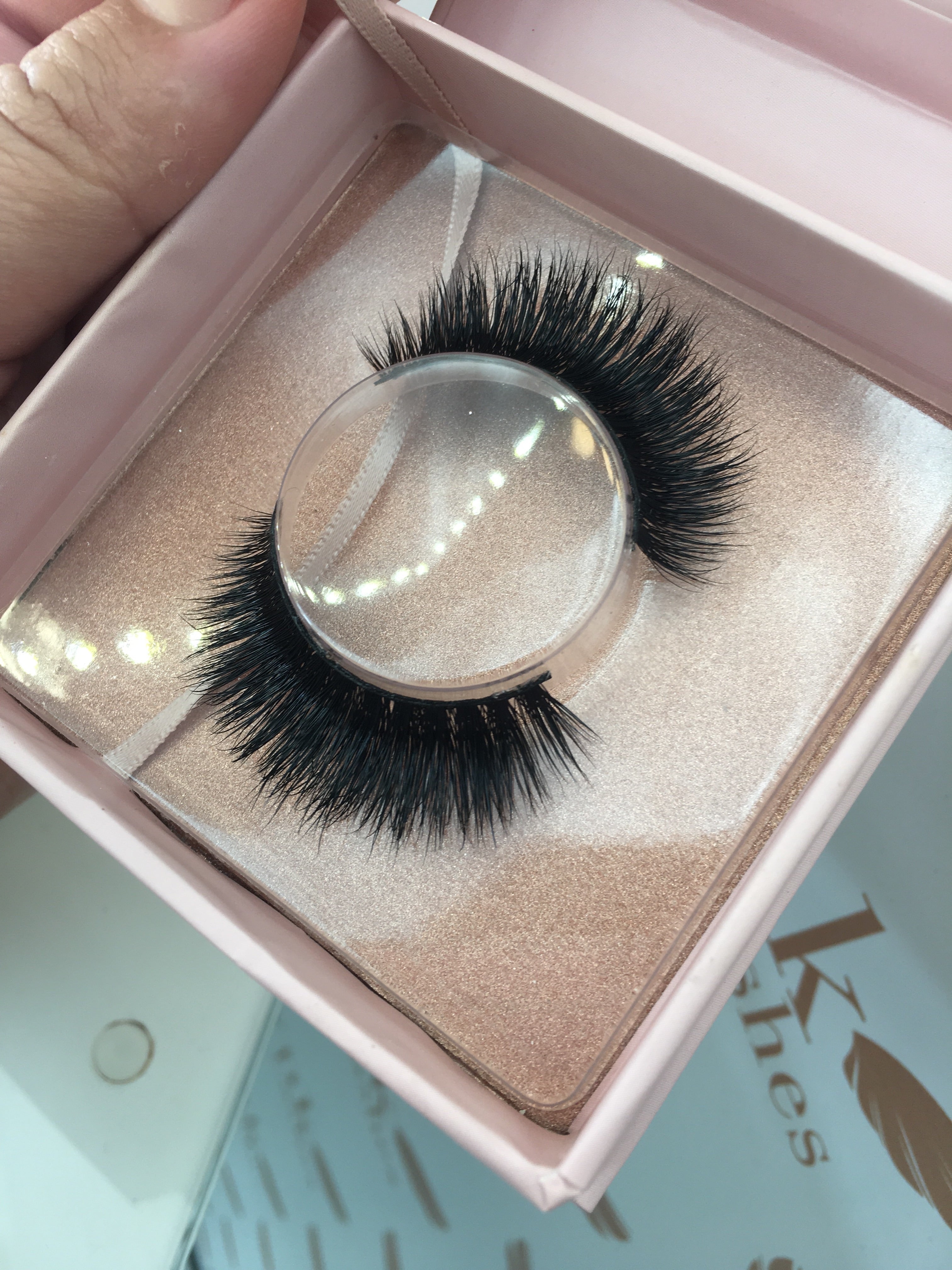 Lauren Lashes